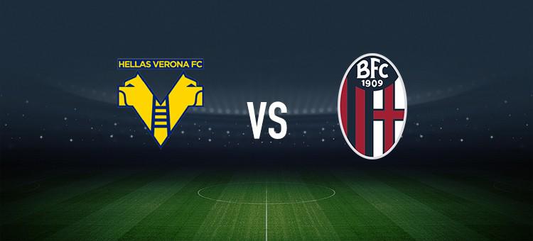 岛未能打破 岛未能打破